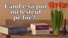 Secvențe de la Conferința studenților Facultății de Litere